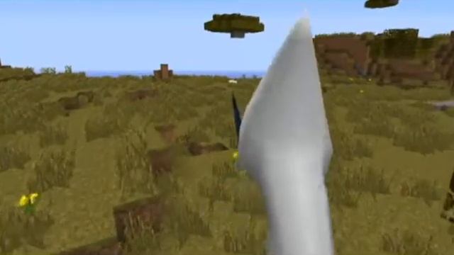 Minecraft между ног