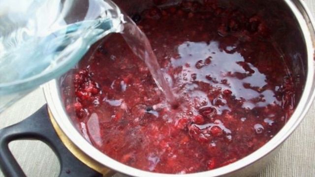 Интересные Факты и Загадки