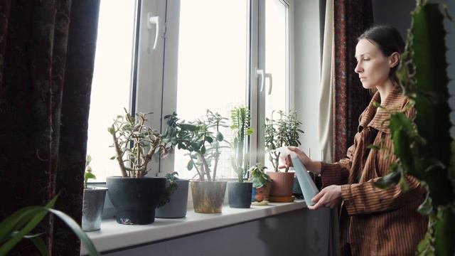 How to Grow Big Size Succulents Faster 8 Incredible Tips смотреть онлайн