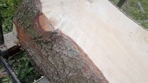 обзор шинной пилорамы с бензиновым двигателем 7 лошадей