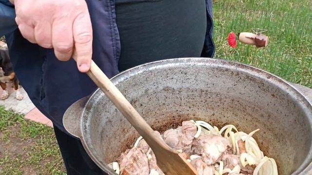 Молодой ягнёнок в казане на костре смотреть онлайн