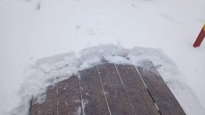 Обработка дерева отработкой состояние через 6 месяцев