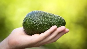 ? Чем полезно авокадо? Польза авокадо для здоровья человека