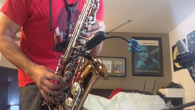 Black Napkins-Frank Zappa (alto sax cover) смотреть онлайн