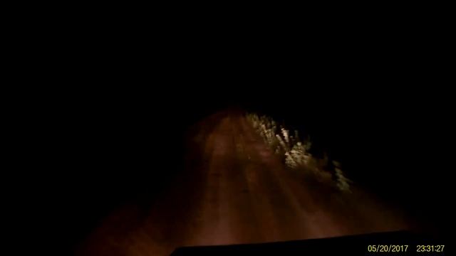 Ёжик на дороге смотреть онлайн