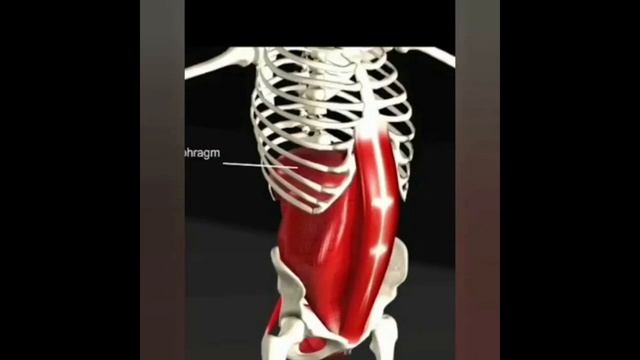 Движение живота и ДЫХАНИЕ. Мантра СЕМИНОЛОВ И О Хо Э Хи И И И! смотреть онлайн