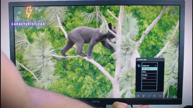 BenQ GL2480 de 24" Monitor Gaming Barato Review | TN 75Hz 1ms 1080p ? GamerStreamer смотреть онлайн
