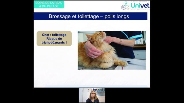 Webconference Prendre soin de sa peau et de ses poils смотреть онлайн