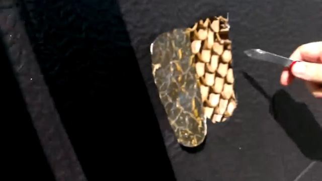 Китайская дверь против швейцарского ножика смотреть онлайн