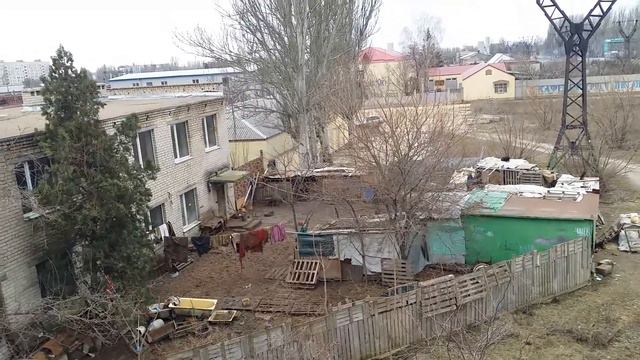 Херсон-собачий приют смотреть онлайн