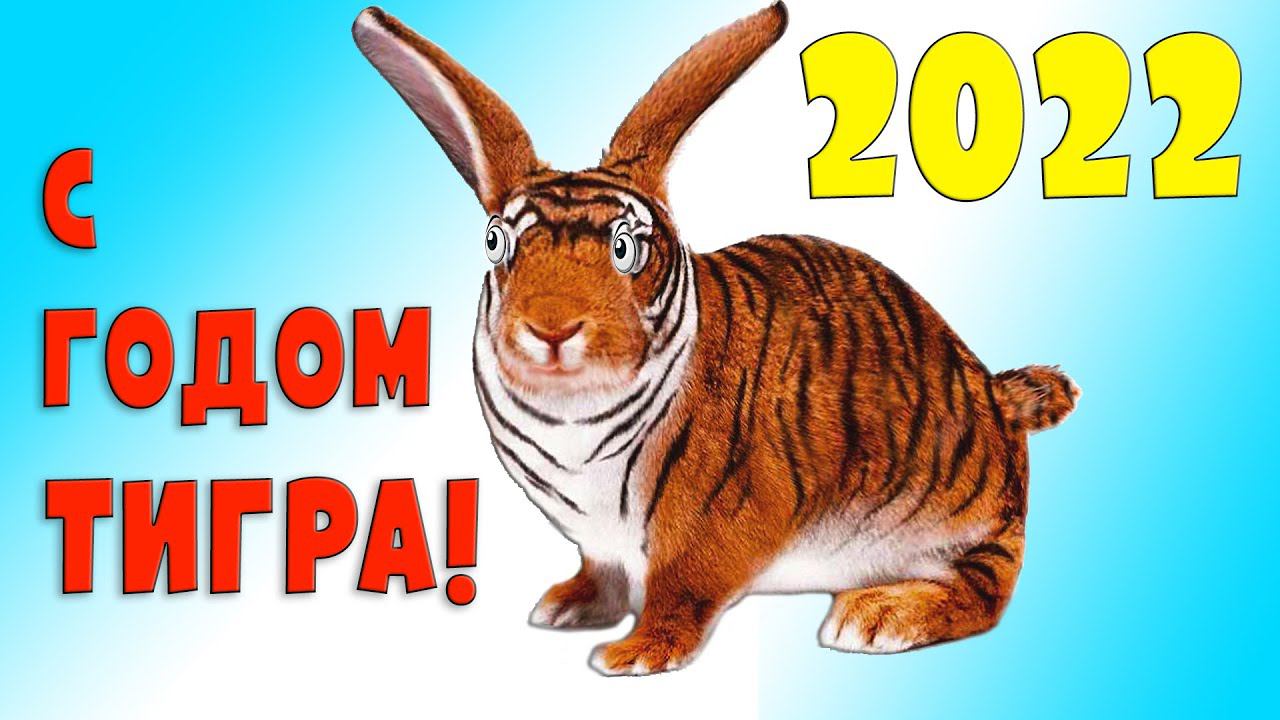 Кролик - Тигр / С Новым годом! смотреть онлайн