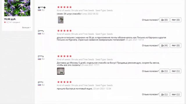 Туя западная Hoseri, семена 30 шт смотреть онлайн