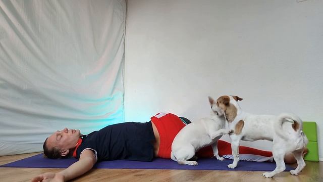 "Инь йога" данные упражнения сможет выполнить каждый / уровень "начинающий" / Алексей Казубский смотреть онлайн