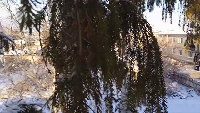 Украшение двора к Новому Году. смотреть онлайн