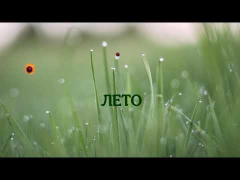 Антон Кушников - "Лето" смотреть онлайн