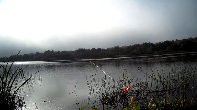 Фидер в октябре.Ловля огромной Плотвы. Хорошая осеняя рыбалка смотреть онлайн