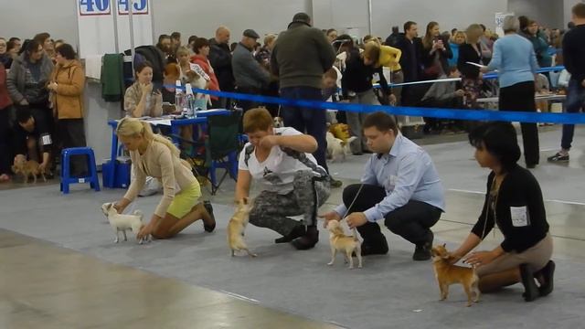 DSCN9297 смотреть онлайн