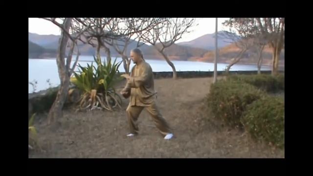 01  Мастер Игорь Ян  Источник жизни