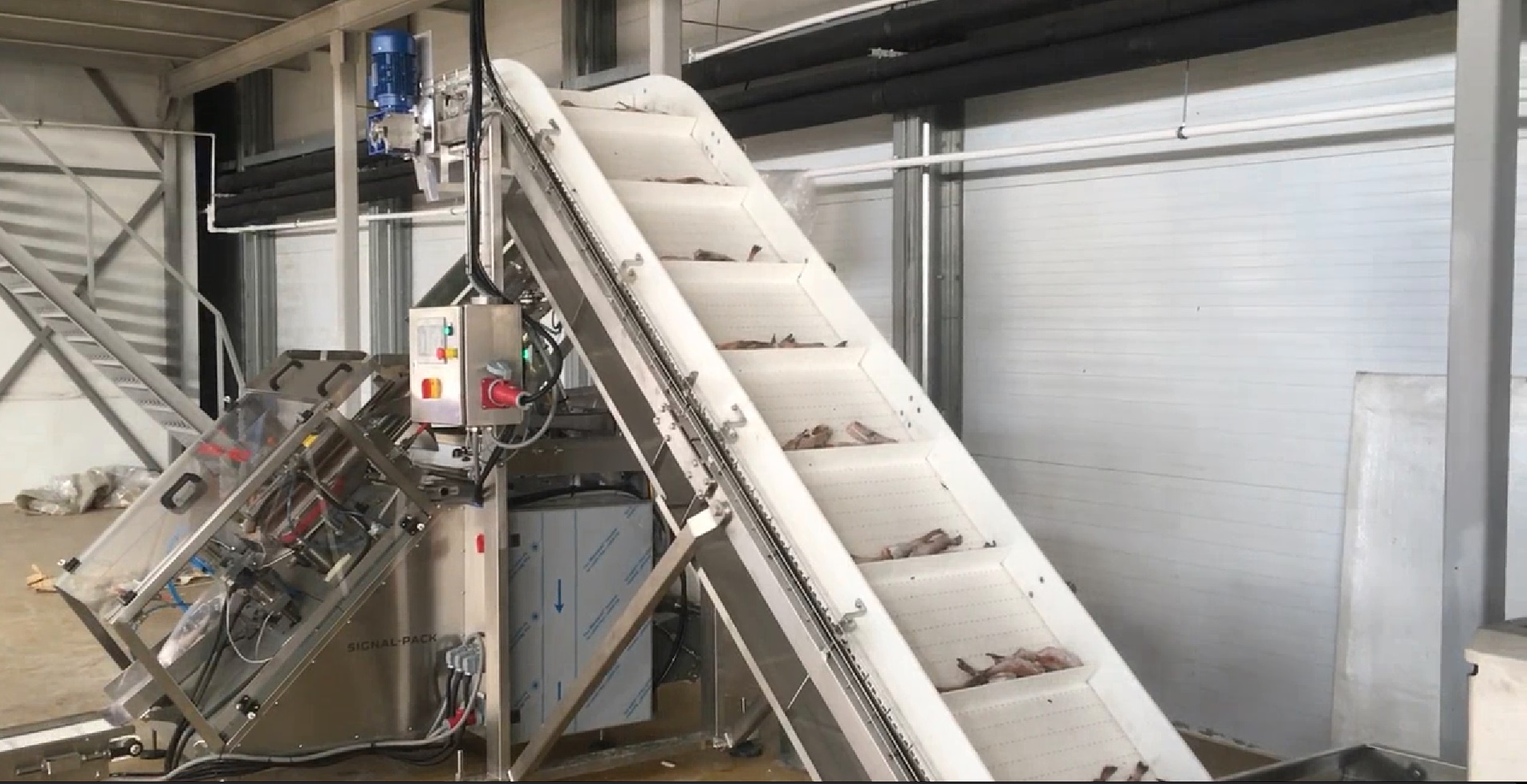 Упаковка Рыба в Пакет взвешивание и маркировка смотреть онлайн