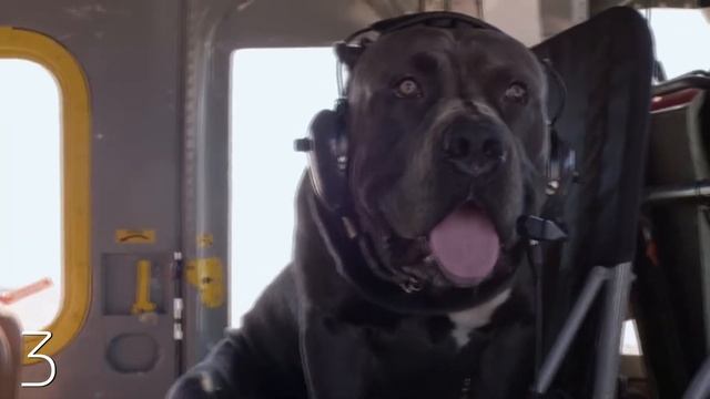 ТОП 5: Энергетических напитков смотреть онлайн