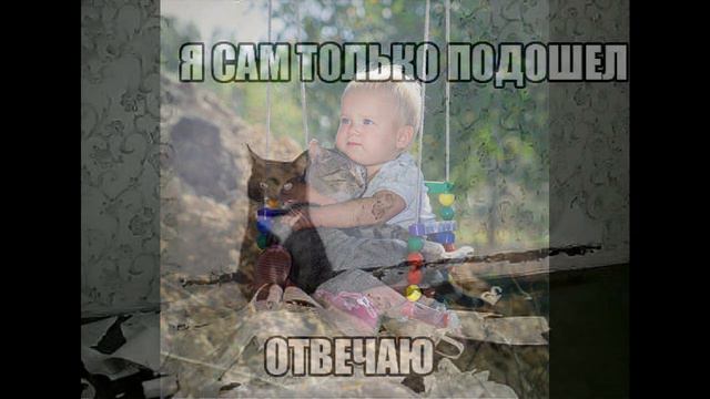 Природа и животный мир/Эти милые и в тоже время смешные кошарики. смотреть онлайн