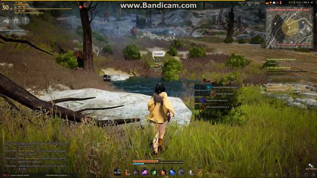 Black Desert Tamer Gameplay смотреть онлайн