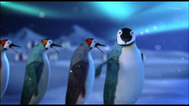 Новогоднее поздравление для Аиши смотреть онлайн