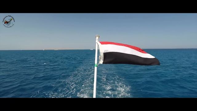 Hurghada Diving Experience from Desert Rose Hotel in Hurghada смотреть онлайн