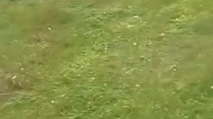 Самодельная косилка.