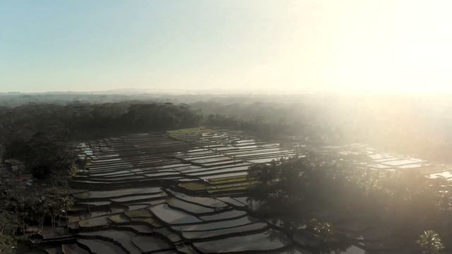 LAND, KELIKI, ubud NEW EARTH HAVEN, project смотреть онлайн