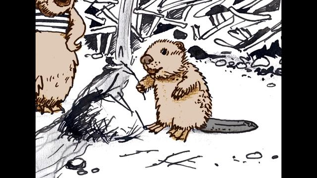 Охотник и бобры. смотреть онлайн