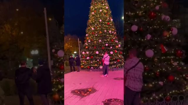 26.11.2023. Вечерний Краснодар, ёлка у ТЦ Галерея. смотреть онлайн