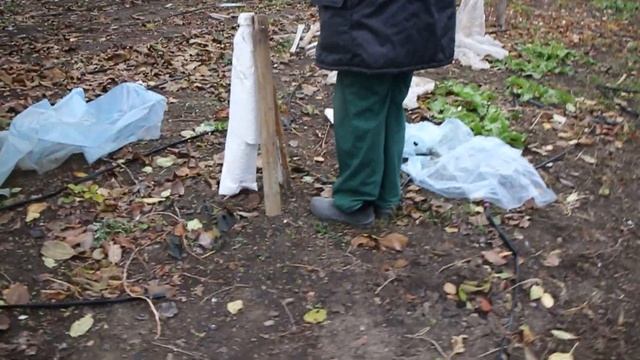 УКРЫВАЕМ ИНЖИР / ЧТО БЫЛО С МАШИНОЙ смотреть онлайн