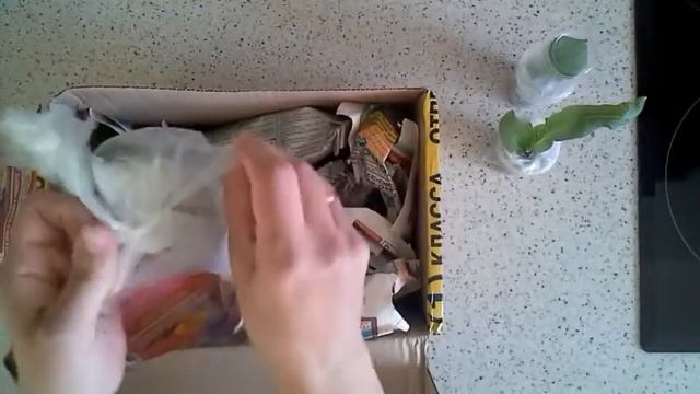 Стрептокарпусы почтой,часть 2. смотреть онлайн