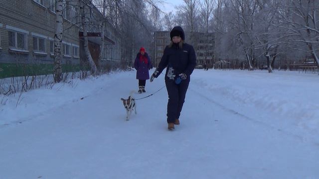 Арчик в Ярославле 01 2016 г смотреть онлайн