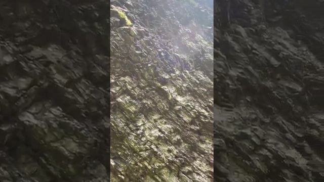 Лабазанил нохъо смотреть онлайн