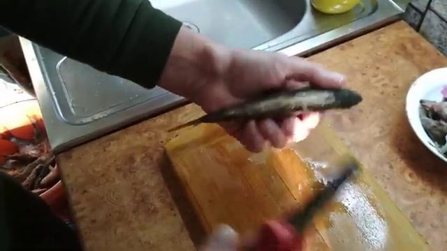 Чистим окуня, замороженного. смотреть онлайн