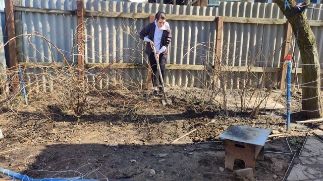 VLOG - ЧАСТЬ 1. Переделываем двор, пересадка малины. смотреть онлайн