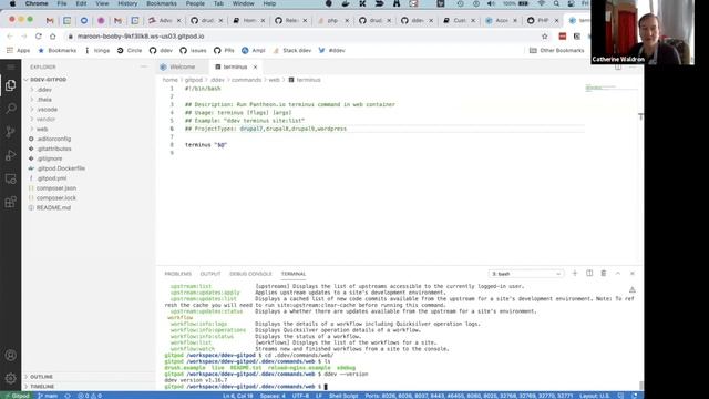 Advanced Local Development with DDEV смотреть онлайн