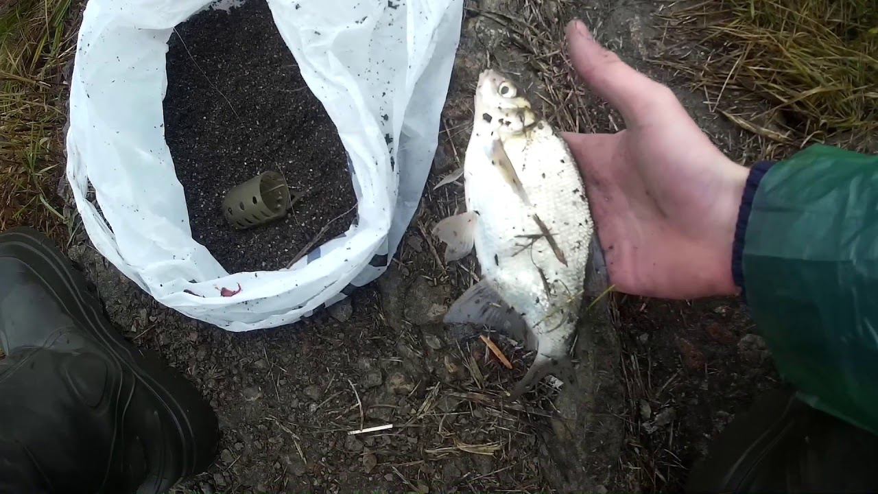 Фидер в Ноябре. Рыбалка на фидер Поздней Осенью. смотреть онлайн