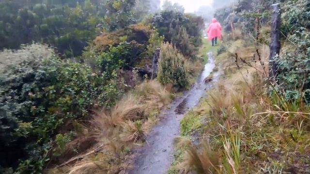 Мы вчера ездили в город камней La ciudad de piedras. смотреть онлайн