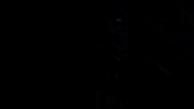 история как 2 девочки потерялись в лесу и они не знают что делать дальше... смотреть онлайн