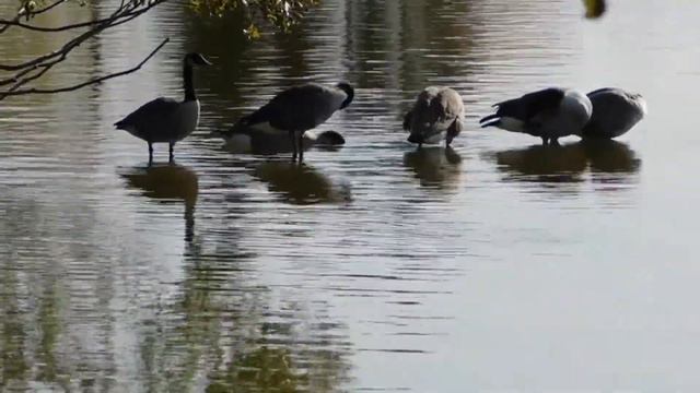 Замечательная воодушевляющая музыка для поднятия настроения и мотивации смотреть онлайн