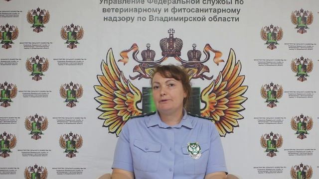 Внеплановая проверка ООО Птицефабрика Александровская смотреть онлайн