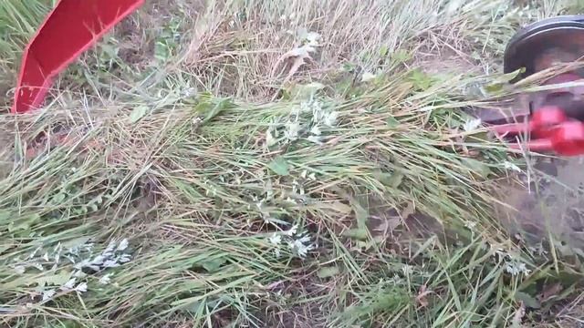 Гусеничный минитрактор косит и возит траву в компостную яму. смотреть онлайн