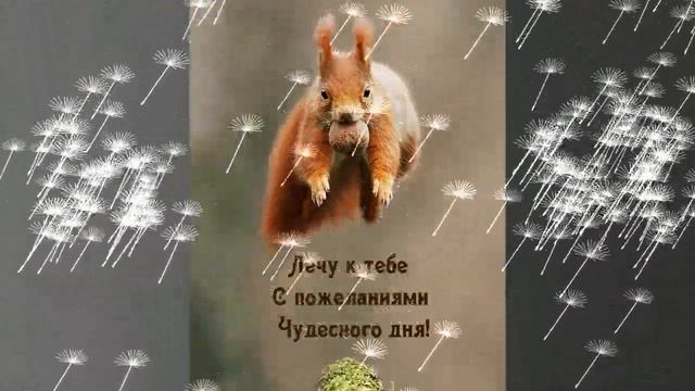 Доброго и Прикольного утра ! смотреть онлайн