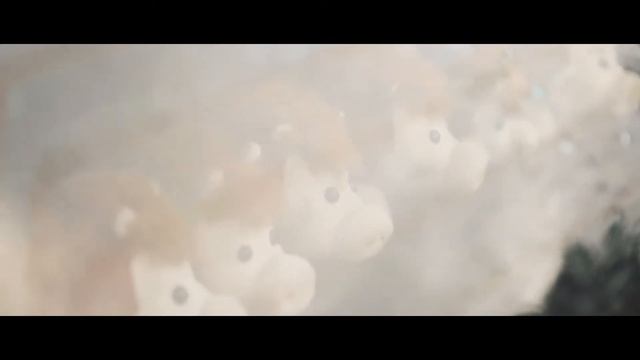 WCO meeting 2К17 смотреть онлайн