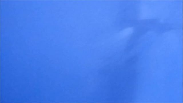 AKVARYUM İSTANBUL / PART 3 / aquarium istanbul смотреть онлайн
