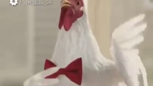 Японские курочки смотреть онлайн