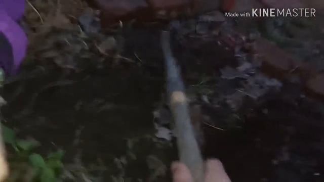 Путешествие в Новосибирск на поезде. смотреть онлайн